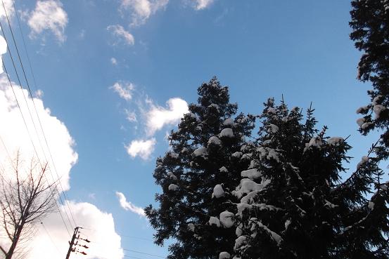 あ青い空と雪の梢