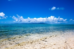 沖縄南国の透き通る海