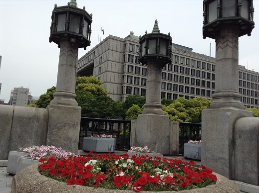 大阪市役所と花