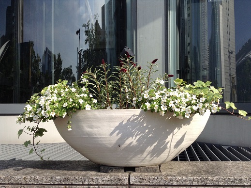 ヒルトンウェストの花鉢