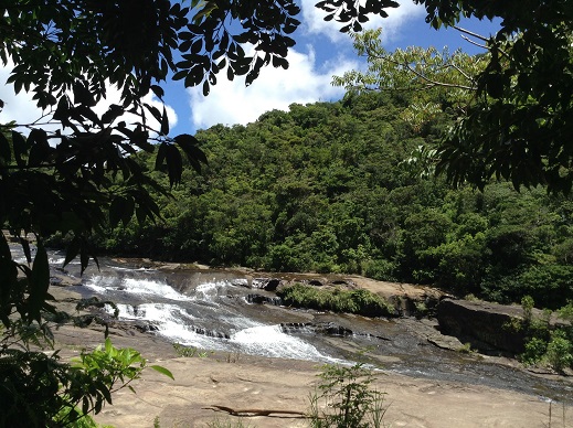 西表島ジャングルの後見た滝