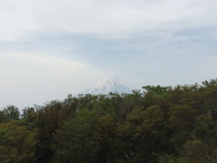 越前岳から富士山見えた