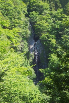 不動の滝in毛無山