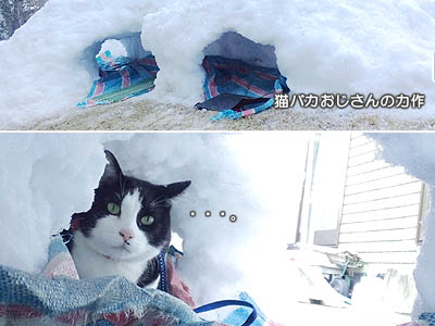 猫用のかまくら　～仙台の７８年ぶりの積雪で