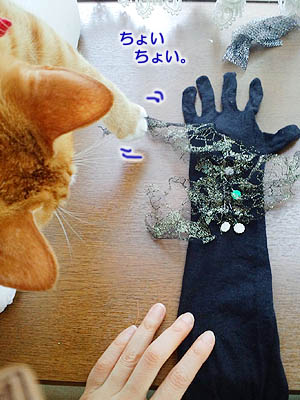 猫の手、ちょいちょい。