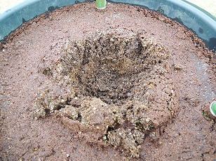トマトベリーガーデン　植え穴を開ける