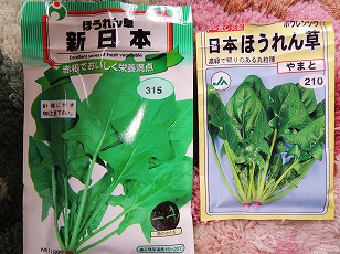 ホウレンソウ　種袋　新日本法蓮草　日本ほうれん草やまと