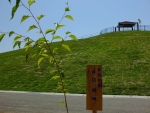 千年希望の丘植樹祭,岩沼市長の記念植樹