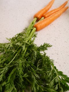 Carrot leaves - M