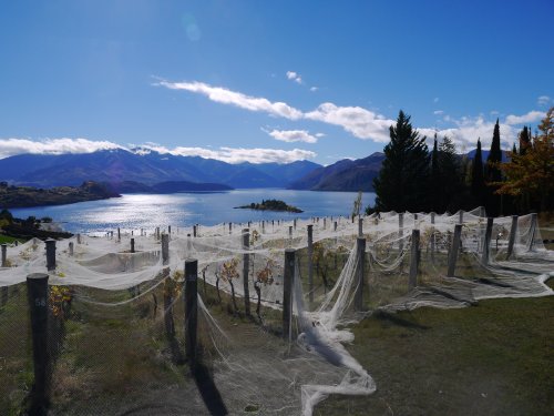 Rippon great view 8/4/14