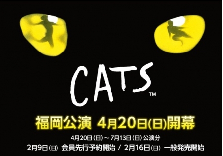 Cats_Fukuoka_2014-Top.jpg