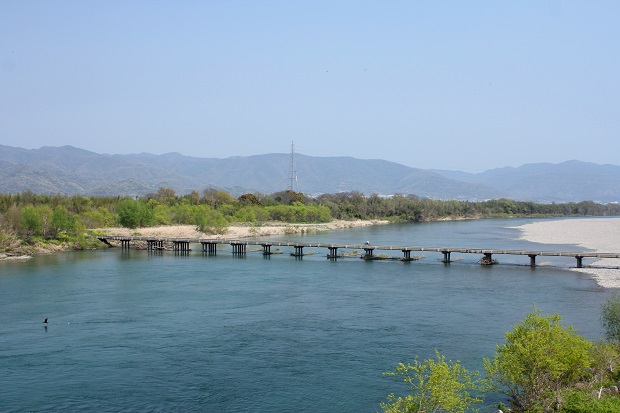 川島潜水橋　春