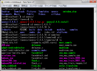 Xillinux_15_140528.png
