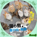猫の島　瀬戸内　青島のコピー