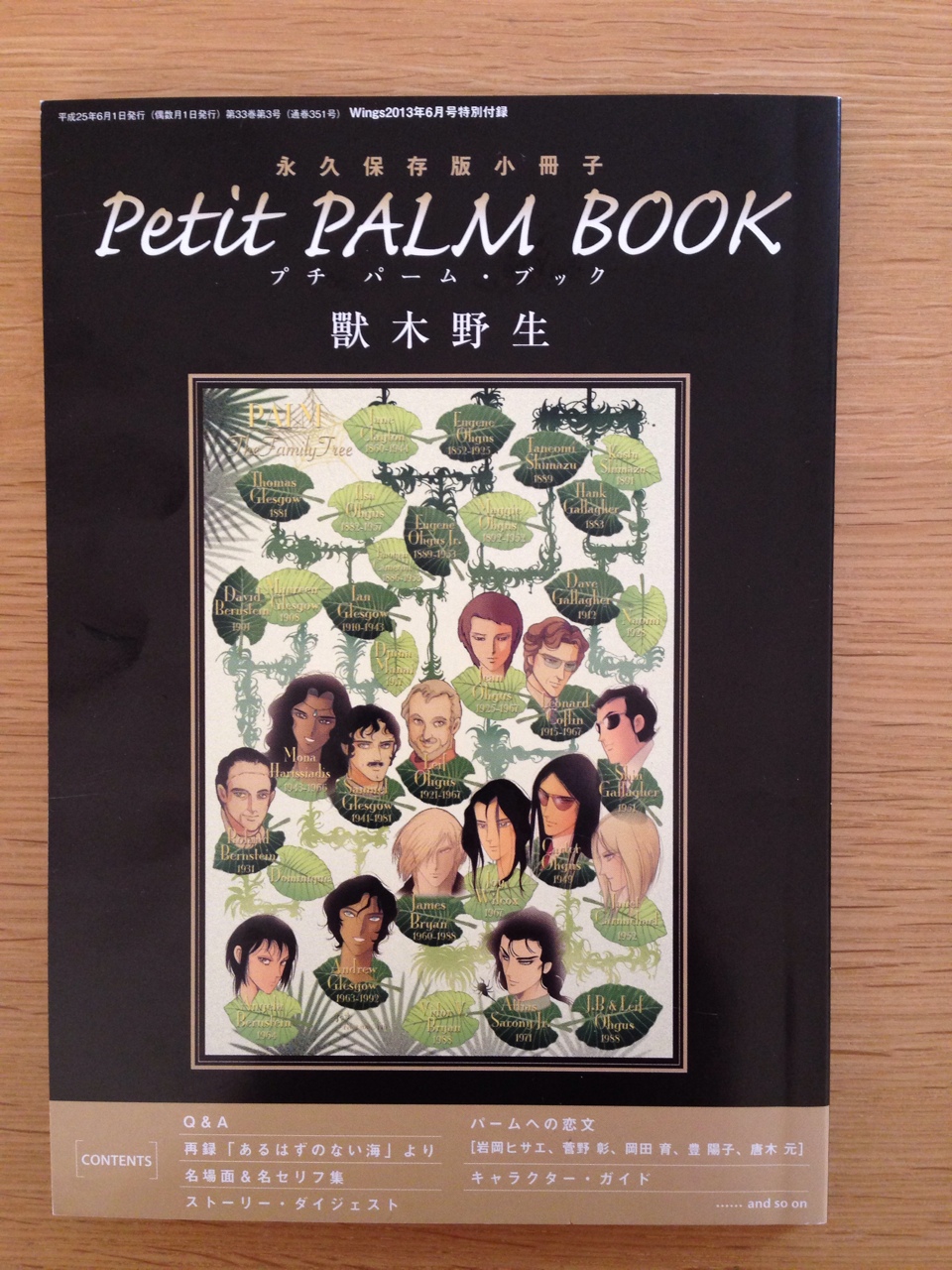 2014-04-06 petit Palmbook