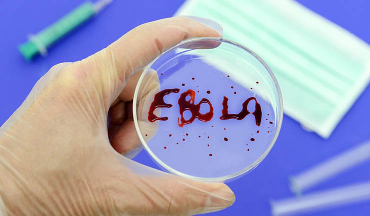 エボラ２