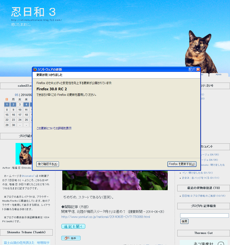 Mozilla Firefox 30.0 RC 2