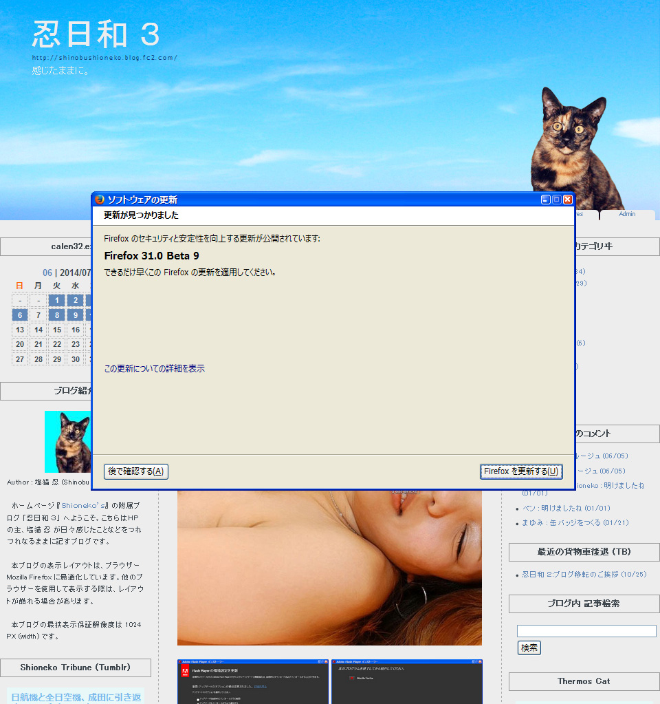 Mozilla Firefox 31.0 Beta 9