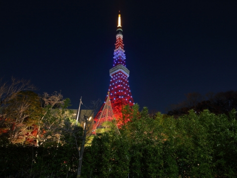 東京タワー　パラリンピックダイヤモンドヴェール
