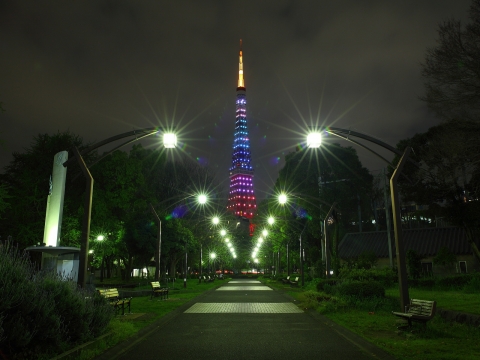 東京タワー　レインボーダイヤモンドヴェール