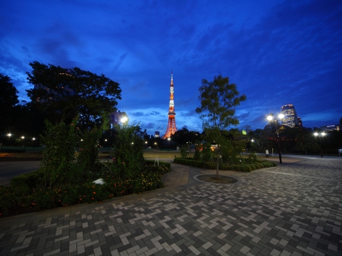 夏色　東京タワー