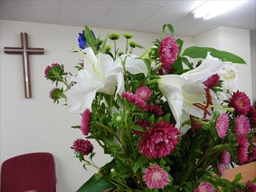 2014.8.17のお花