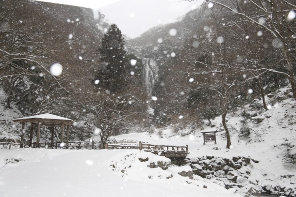 神庭の滝　雪