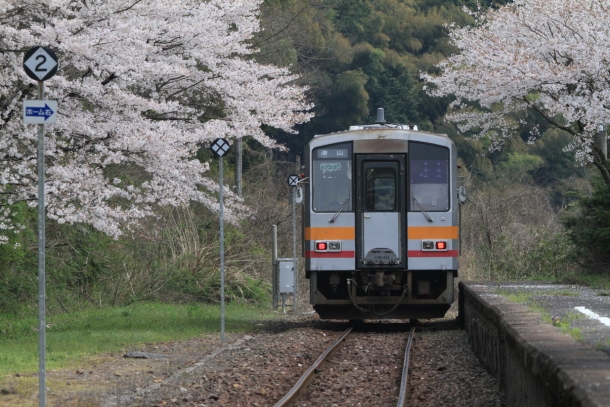 姫新線　月田駅　桜