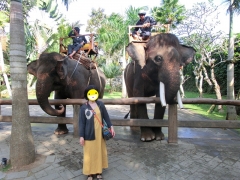 象と記念撮影